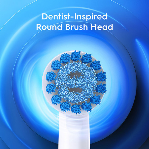 Dentist-Inspired Round Brush Head