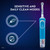Oral-B Kids Electric Toothbrush Bundle Featuring Disney's Frozen