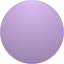 Violet Ametrine