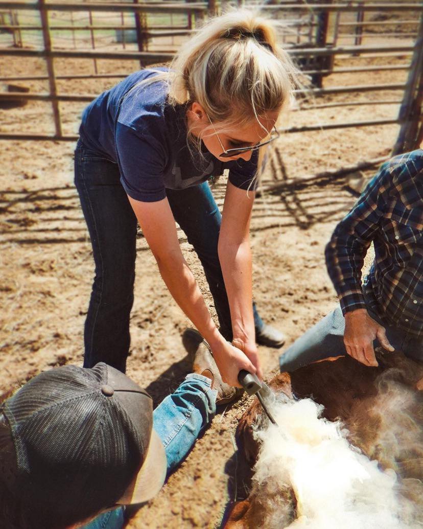 Livestock Brand Samples - L&H Branding Irons