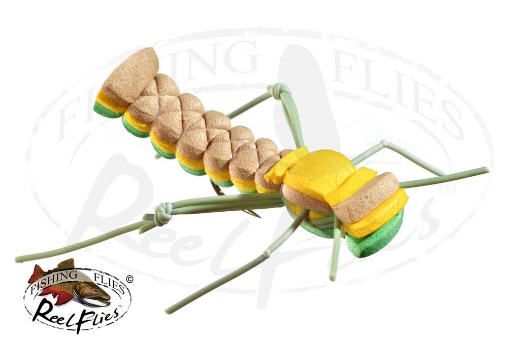 Foam Hopper Green Yellow