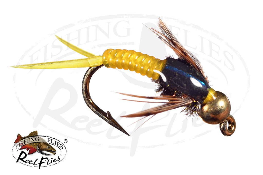 Stonefly Collector's Edition ストーンフライ Stonefly Collector's Edition ストーンフライ ストーンフライ