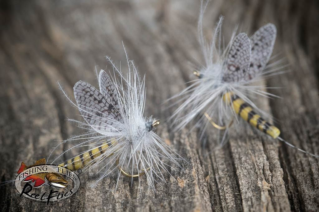 Realistic BWO Mayfly Dry Fly