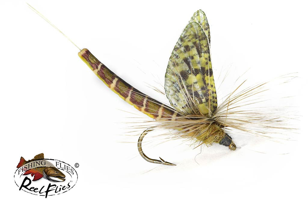 Realistic Easter Green Drake Mayfly