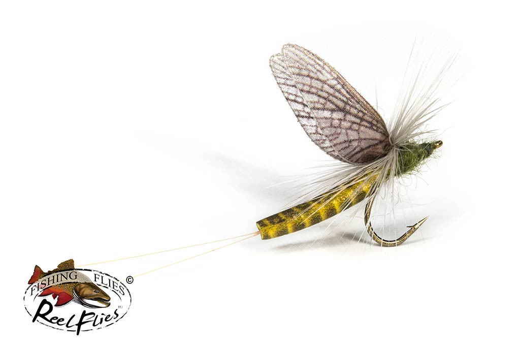 Green Drake Mayfly - 12 Trout Flies