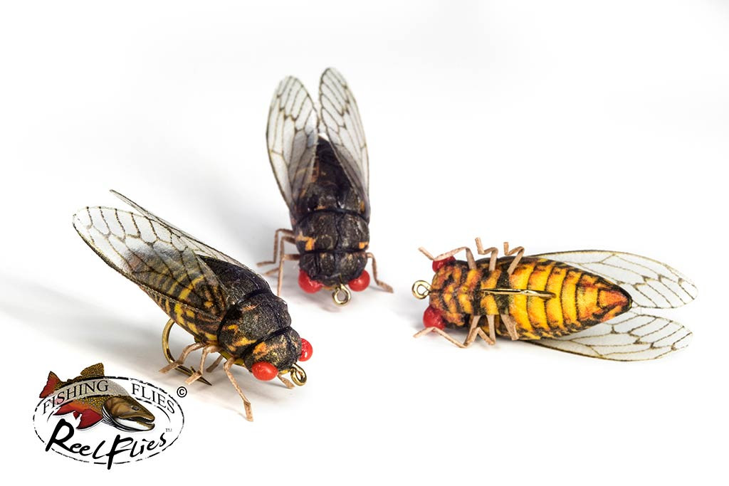 Realistic Cicada Fly
