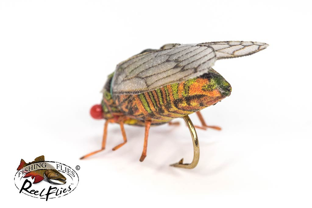 Realistic Cicada Fly Olive