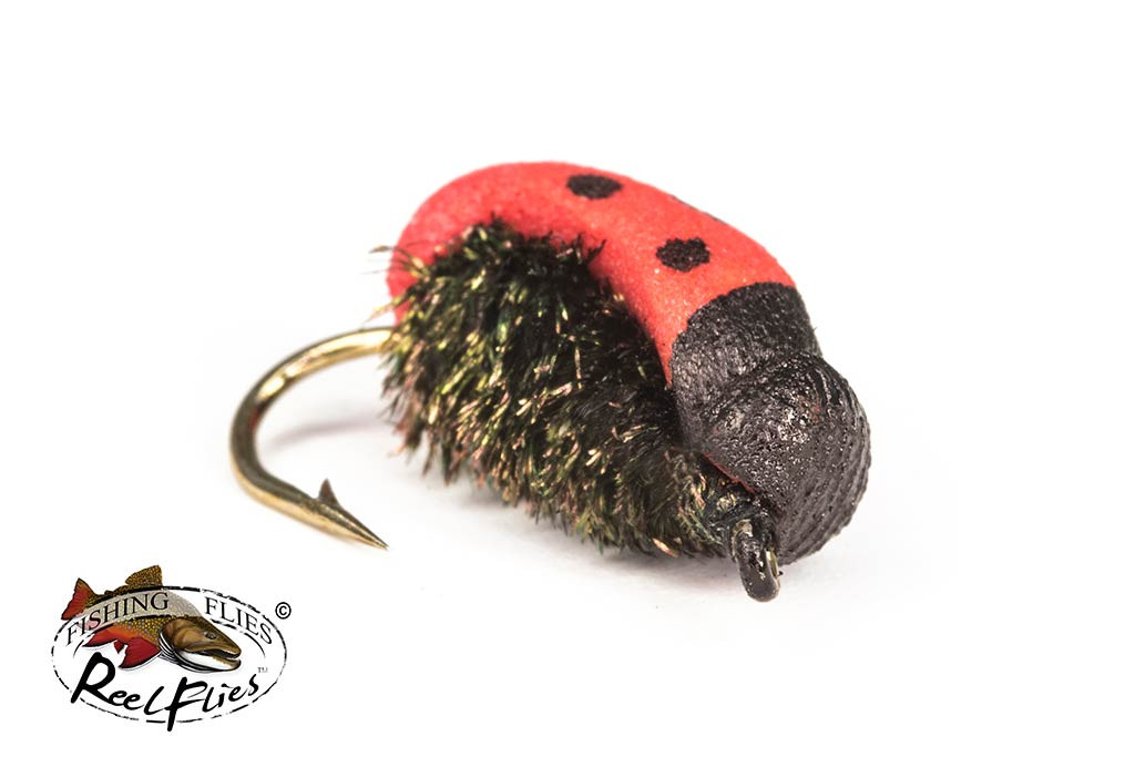 Realistic Lady Bug Fly | ReelFlies