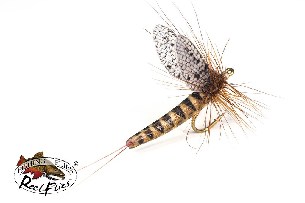 Realistic March Brown Dry Fly