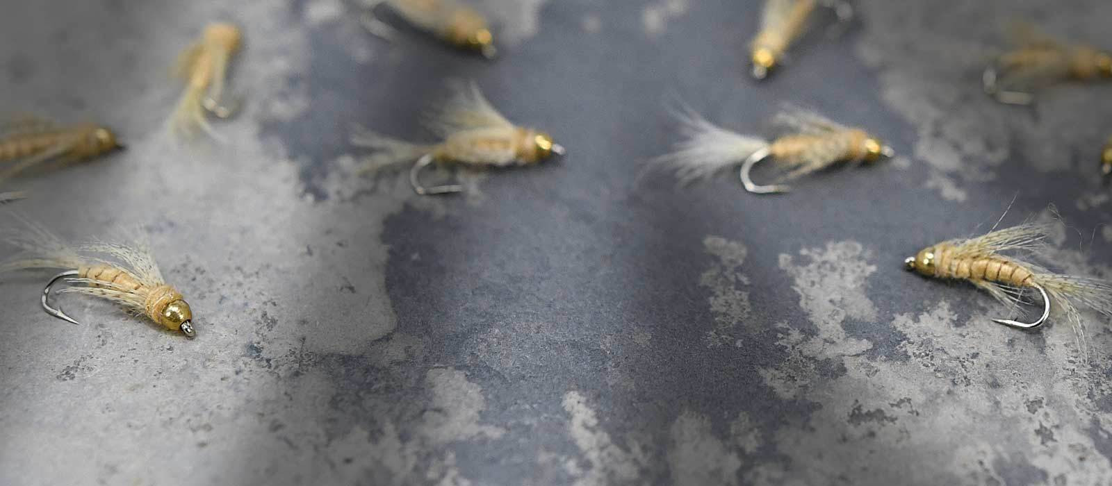 BH Mayfly Nymphs