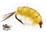 Bighorn Scud Yellow
