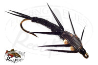 DBH-Black-Biot-Stonefly