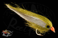 Olive Dancer Fly