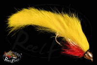 CH Beerbelly Yellow Zonker
