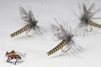 Realistic BWO Mayfly