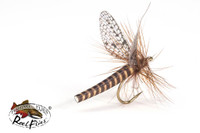 Realistic Red Quill Mayfly