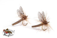 Realistic Mahogany Mayfly