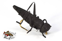 Realistic Black Cricket Fly