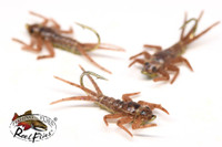 Realistic March Brown Nymphs