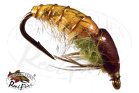 Rocky Mountain Pupa Tan