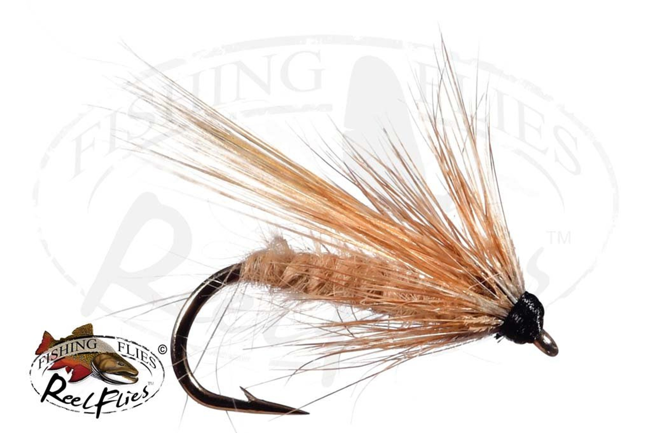 Translucent Caddis Pupa