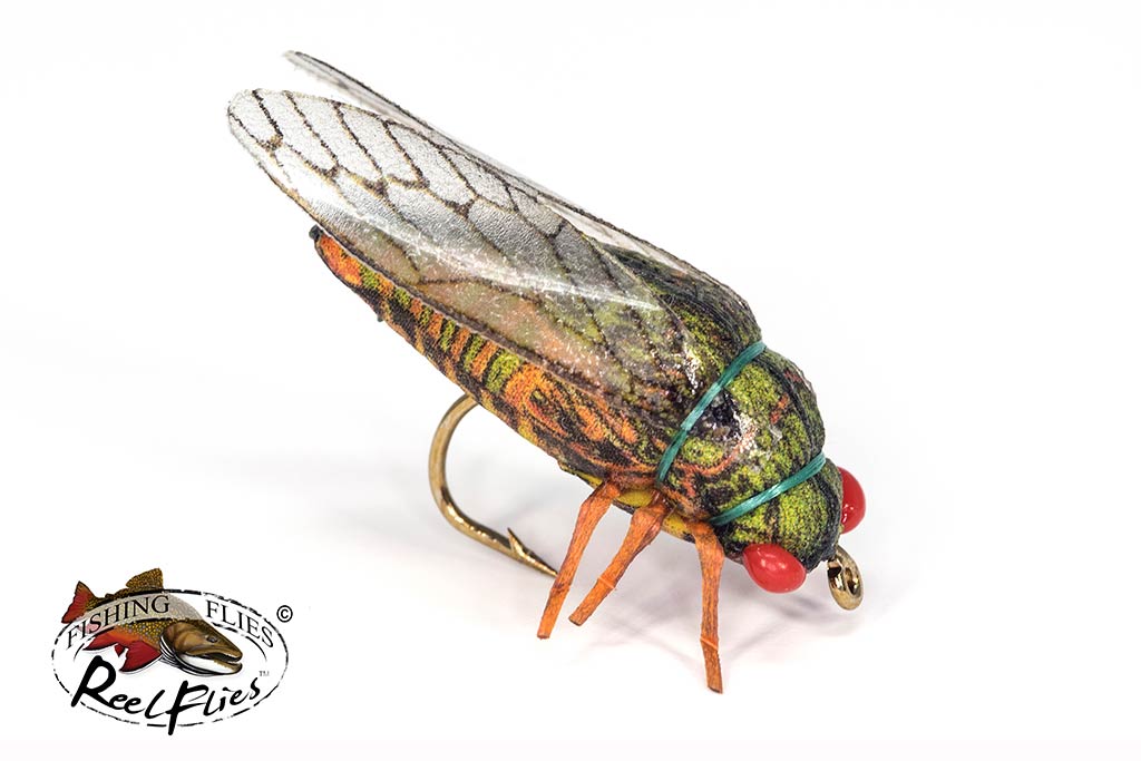 Realistic Olive Cicada Fishing Fly | ReelFlies