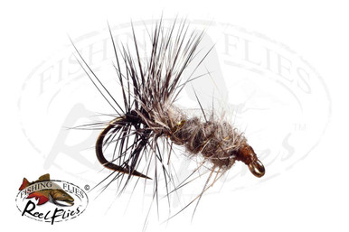 Midge-Pupa__79252__78584.
