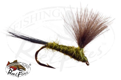 Olive Wing F Fly - Mosche CDC Secche Per Trota - Confezione Da 6 (Scegli La Misura)