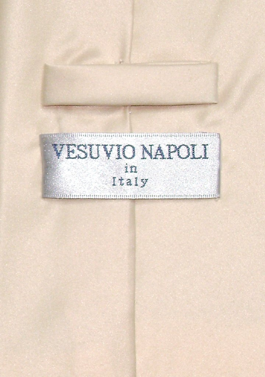 Vesuvio Napoli Light Brown NeckTie Handkerchief Mens Neck Tie Set