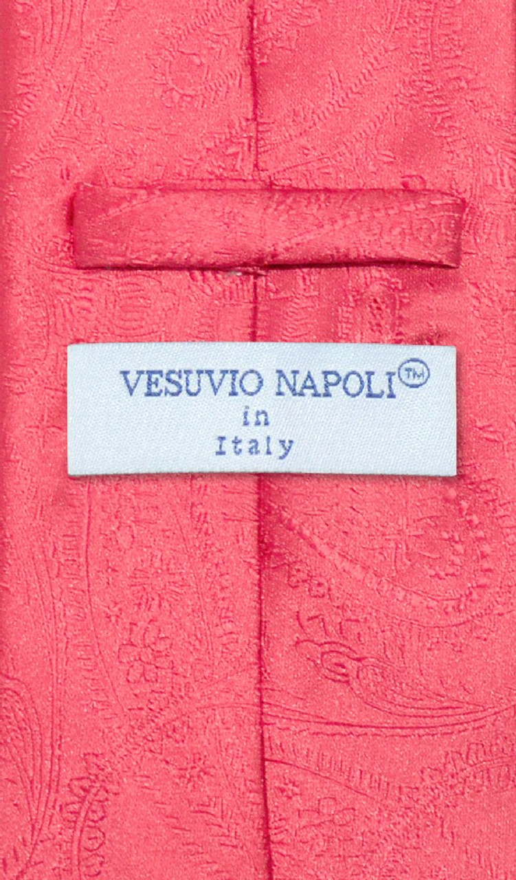 Vesuvio Napoli NeckTie Coral Pink Color Paisley Design Mens Neck Tie