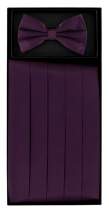 Green / Purple Charleston Silk Pleated Cummerbund & Bow Tie Set main image 0
