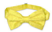 Vesuvio Napoli BowTie Yellow Paisley Color Mens Bow Tie