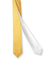 Biagio TWO-SIDED NeckTie Solid GOLD Color and WHITE Men's Neck Tie