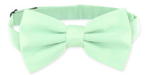 Laurel Green Color Vest and BowTie | Mens Dress Vest & Bow Tie Set