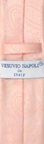 Vesuvio Napoli Skinny NeckTie Peach Color Paisley Mens 2.5" Tie & Handkerchief