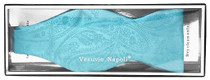 Vesuvio Napoli SELF TIE Bow Tie TURQUOISE AQUA BLUE PAISLEY Design Men's BowTie