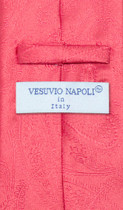 Vesuvio Napoli CORAL PINK PAISLEY NeckTie & Handkerchief Matching Neck Tie Set