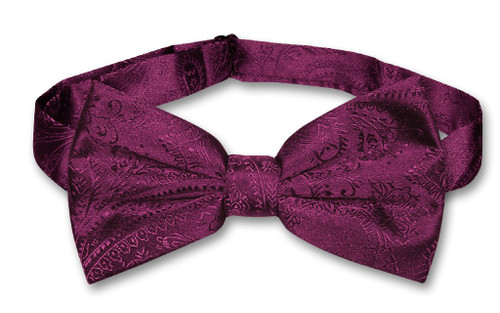 Vesuvio Napoli BowTie Eggplant Purple Color Paisley Mens Bow Tie