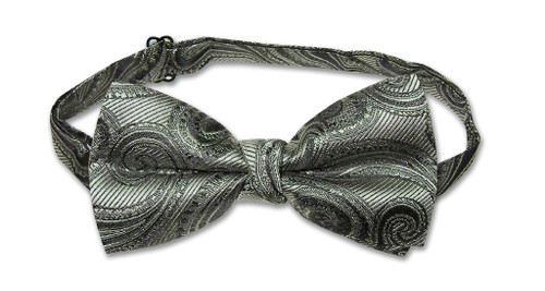 Covona Collection BowTie Green Color Paisley Mens Bow Tie