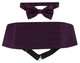 Green / Purple Charleston Silk Pleated Cummerbund & Bow Tie Set main image 1