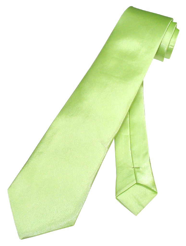 Kids Boys Light Green Elastic Plain Neck Tie main image 0