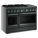 Table de cuisson bicombustible à 6 brûleurs avec plaque chauffante  KitchenAid® de 48 po KFDD948SJP