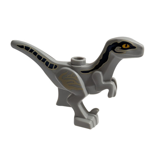 Dinosaurus Raptor - Velociraptor Baby met donkerblauwe en Tan aftekeningen