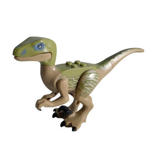 Donkerbruine dinosaurus, Raptor - Velociraptor met olijfgroene rug en lichtbruine markeringen - Delta.