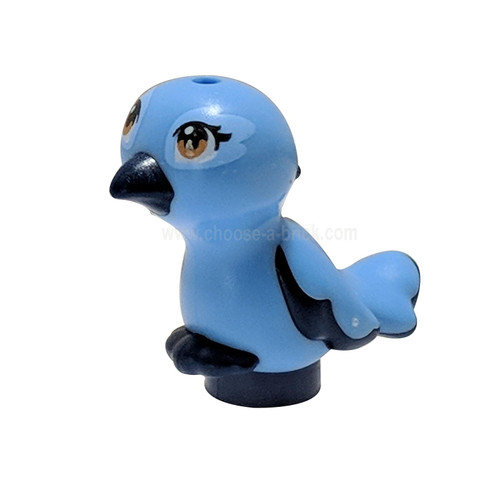 Donkerblauwe vogel, voeten verbonden met medium blauw lichaam en medium donker vlees ogen patroon