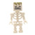 Skelet - Kerkers - LEGO Minecraft Minifigure