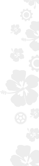 Roxy flower and gear pattern