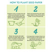 Seed Paper Box 4.88x3.86x2.05"