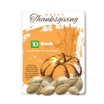 Pumpkin Seed Packet | One-Sided