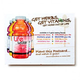 Seed Paper Postcard | Two-Sided